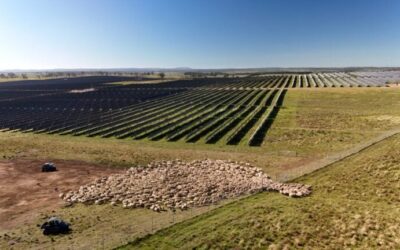 The Deeargee solar-plus-storage project will be located south of Acen Australia’s New England Solar site (above). Image: Acen Australia.
