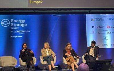 Nina Schmuser Energy Storage Summit Stuttgart