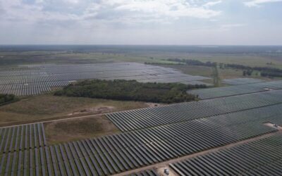 Ørsted's existing Old 300 solar PV plant in Ford Bend County, Texas. Image: Ørsted via Instagram
