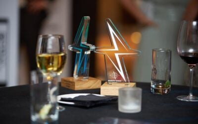 Trophies at the Energy Storage Awards 2023. Image: Solar Media.