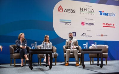 Dr Mahdi Behrengrad, pictured speaking in a panel at last year's Energy Storage Summit Asia. Image: Solar Media