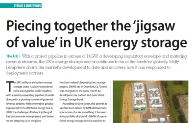 Piecing together the ‘jigsaw