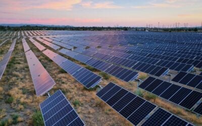 Amazon’s acquisition was approved by the Bankruptcy Court for the Southern District of Texas. Image: Pine Gate Renewables.