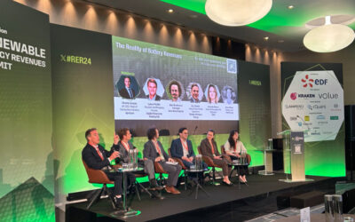 'The Reality of Battery Revenues' panel discussion on Day 2 of the Renewable Energy Revenues Summit 2024 last week in London. Image: Solar Media.