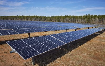 Ground mount solar photovoltaic (PV) modules at the Hickory Park site in Mitchell County, Georgia. Image: RWE.