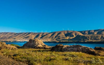 Also known as Dollar Wind, the Pacheco State Park facility's legacy wind turbines can be seen in the distance. Image: Scout Clean Energy.