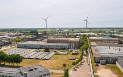 Screenshot 2026-02-19 121702