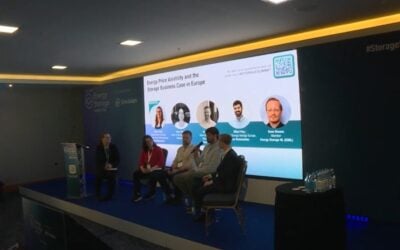 Energy Price Volatility and the Storage Business Case in Europe panel discussion