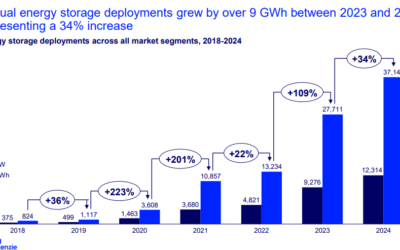 Wood Mackenzie 2024 report