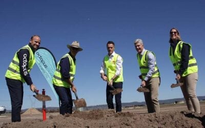 Image: Octopus Australia.