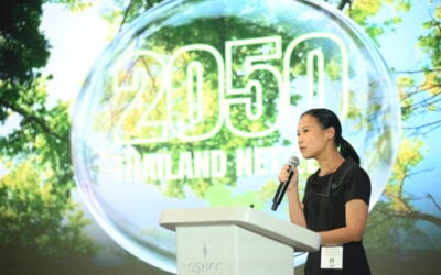 TESTA president Dr Pimpa Limthongkul explains the role of energy storage in Thailand's Power Development Plan and net-zero targets. Image: Solar Media