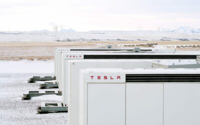 tesla results energy storage