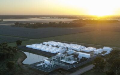 Large-scale battery storage project in New South Wales, Australia, built with Tesla's Megapacks. Image: Edify Energy.