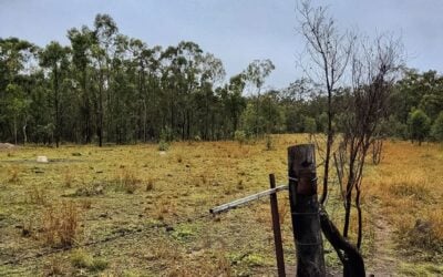 The site of the Gawara Baya wind-plus-storage project in Queensland Australia. Image: Windlab.