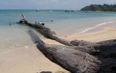 Wandoor_Beach_Andaman_4160169