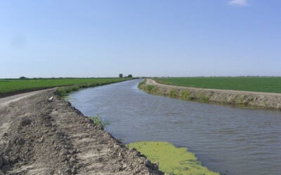 The Westlands Water District in Fresno County, California, largest agricultural water district in the US. Image: Dan Brekke / Flickr.