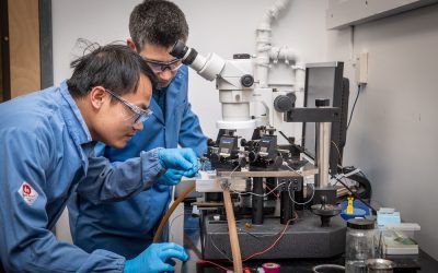 Berkeley Lab researchers measuring thermal characterisation of batteries. Image: Berkeley Lab.