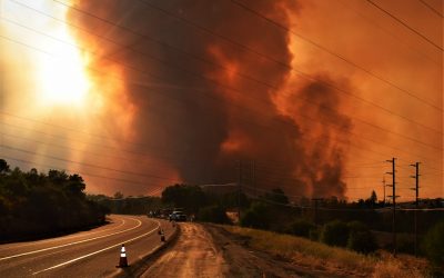 california_fire_bureau_land_management