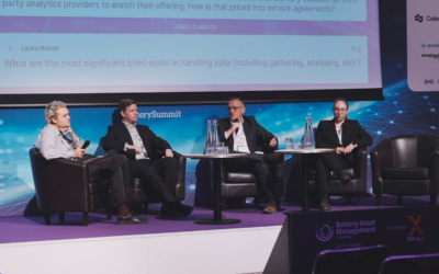 data panel