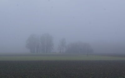 'Dunkelflaute' ('dark doldrums' or 'dark lull') events, where both sun and wind resources are low for extended periods of time, do not have to be the barrier to renewable energy they were once thought to be. Image: wikimedia user AleXXw, used under commons license Attribution-Sharealike Austria 3.0.