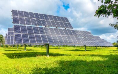 matrix renewables