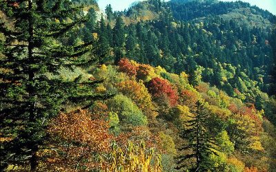 great_smoky_mountains_national_park