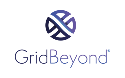 grid-beyond