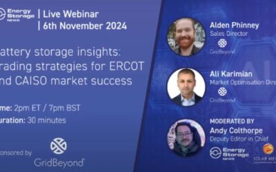 gridbeyond ercot caiso webinar landing page Q4 2024