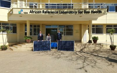 icipe-and-Solarcentury_Kenya-project