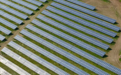 Low Carbon solar farm UK