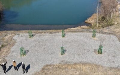 Commemorative planting of cheery blossom trees at a Pacifico Energy solar PV development in Japan. Mahdi Behrengrad said developers must partner with communities, which should not be expected to need expertise in understanding what is being built in their area. Image: Pacifico Energy