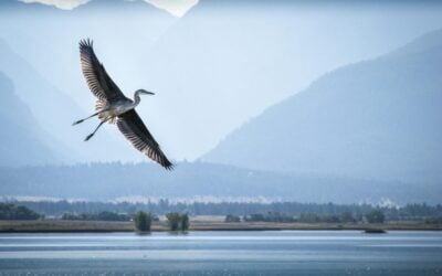 Berkshire Hathaway Energy Montana BESS