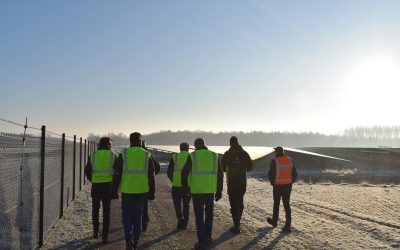 Visitors to a PowerField solar PV plant's open day event in 2022. Image: PowerField via Twitter.