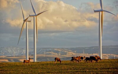 puget-sound-energy-lower-snake-river-wind