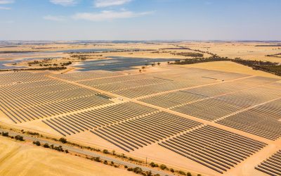 risen_energy_merredin_solar_west_australia