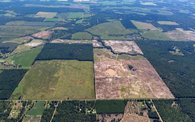 The site of RWE's Hickory Park solar-plus-storage project in Georgia just before construction began near the end of last year. Image: RWE Renewables.