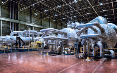 Interior shots of Unit 5.