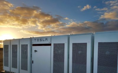 Tesla battery storage at a site in Australia. The company said customer appetite for battery storage remains strong. Image: Elgar Middleton.