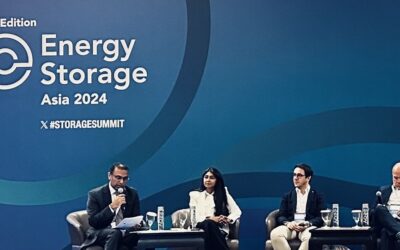 IFC Asia-Pacific regional head of infrastructure and natural resources Vikram Kumar (left) moderating a panel discussion following his keynote speech at ESS Asia 2024. Image: Paul Collinson / Solar Media