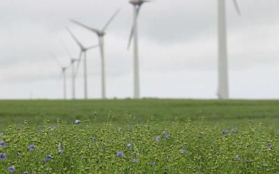 wind farm france