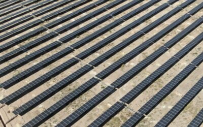 Aerial view of bifacial PV module array at X-Elio's Blue Grass Solar Farm. Image: X-Elio