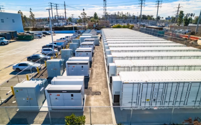 Johanna BESS - Fullmark